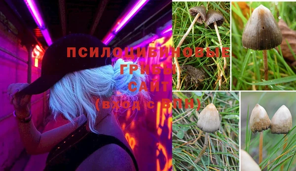 ECSTASY Вязники