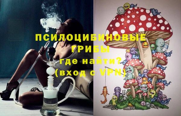 прущая мука Гусев