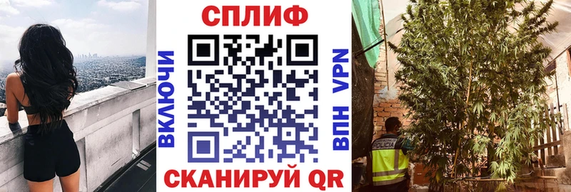 Бошки марихуана Ganja  Купить где  Мценск 